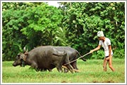 Successful entrepreneur - Kurunegala